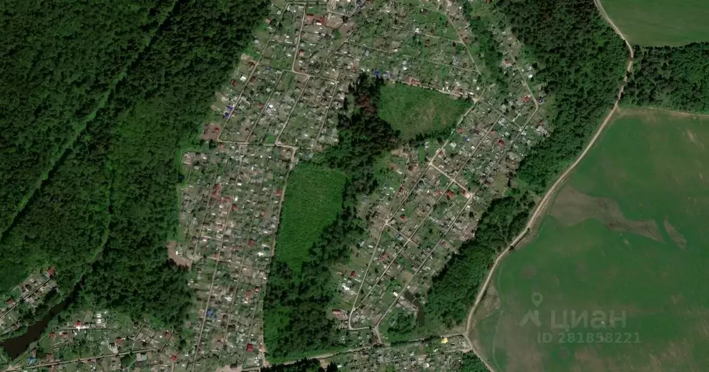 Участок в Калужская область, Боровский муниципальный округ, Кривское ... - Фото 2