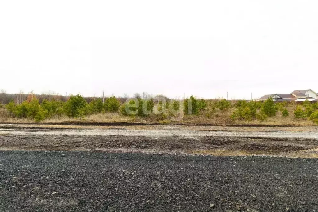 Участок в Тюменская область, Тюменский район, с. Кулига  (7.1 сот.) - Фото 1