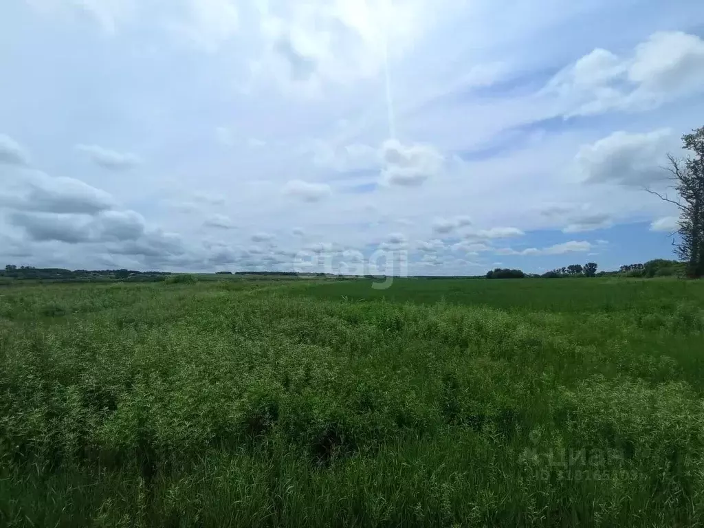 Участок в Амурская область, Благовещенск Рассвет СТ, 78 (6.2 сот.) - Фото 0