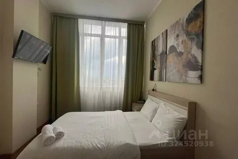 1-к кв. Красноярский край, Красноярск ул. Партизана Железняка, 40Б ... - Фото 2