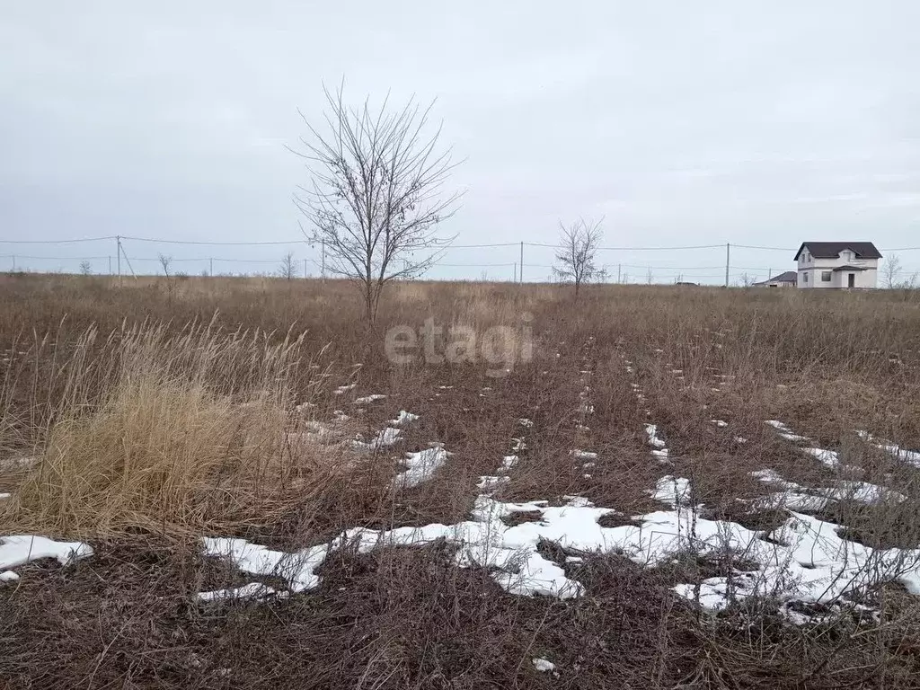 Участок в Белгородская область, Яковлевский городской округ, с. ... - Фото 0