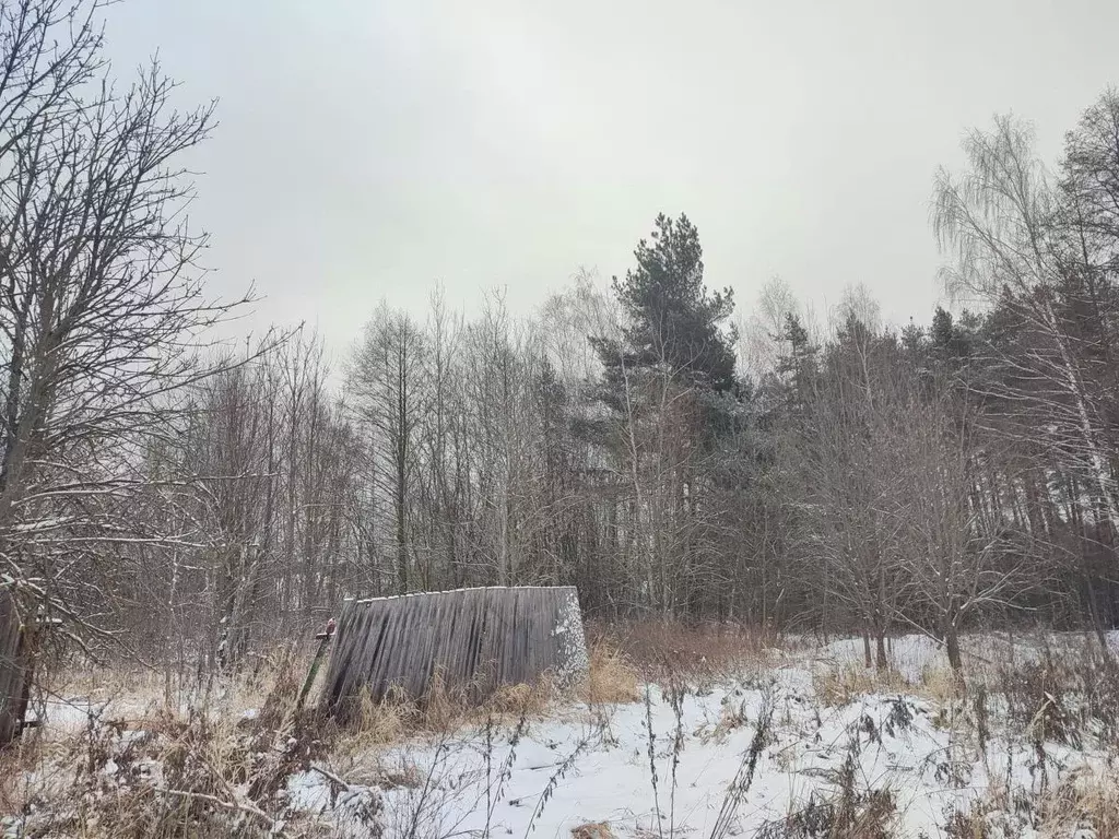 Участок в Московская область, Ликино-Дулево Орехово-Зуевский городской ... - Фото 0