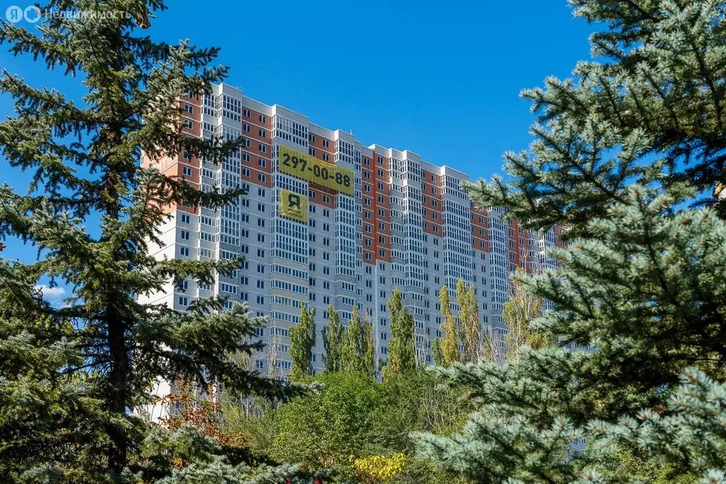 Торговая площадь (40 м) - Фото 2