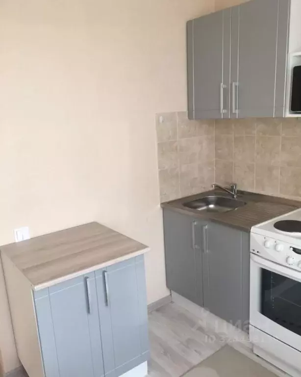 1-к кв. Новосибирская область, Новосибирск Красный просп., 305 (41.0 ... - Фото 2