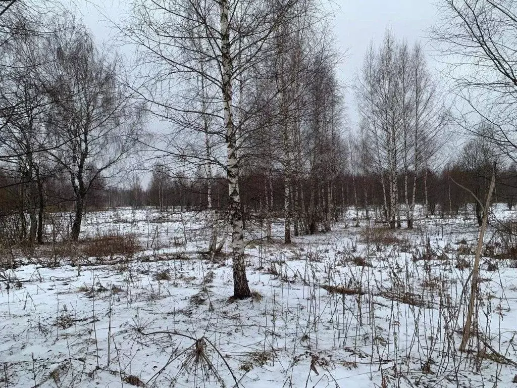 Участок в Ярославская область, Переславль-Залесский муниципальный ... - Фото 2
