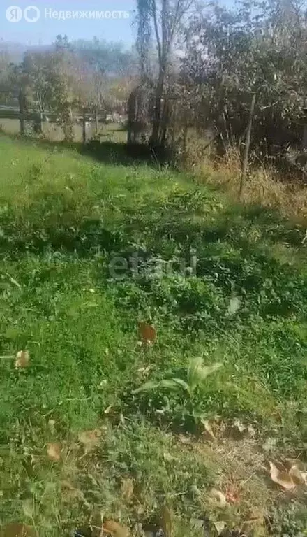 Участок в Краснодарский край, городской округ Сочи, село Красная Воля ... - Фото 1