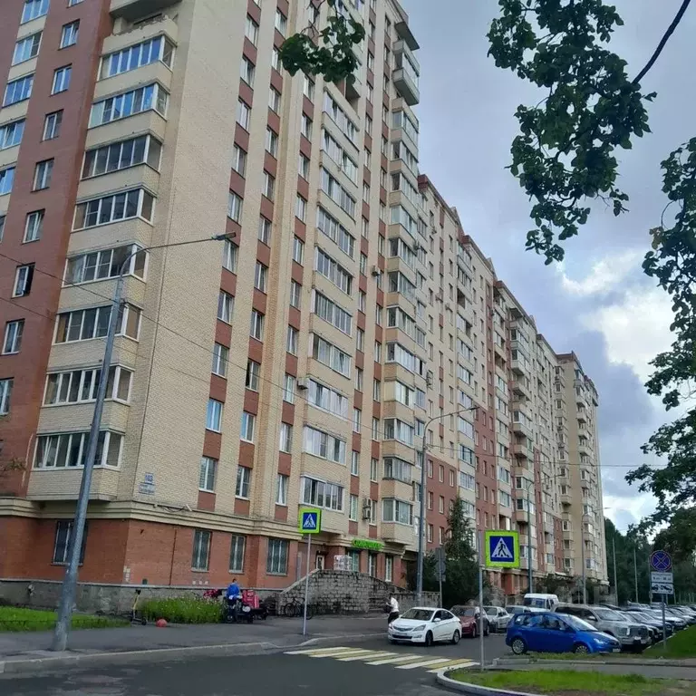 Студия Санкт-Петербург Светлановский просп., 103 (27.0 м) - Фото 1