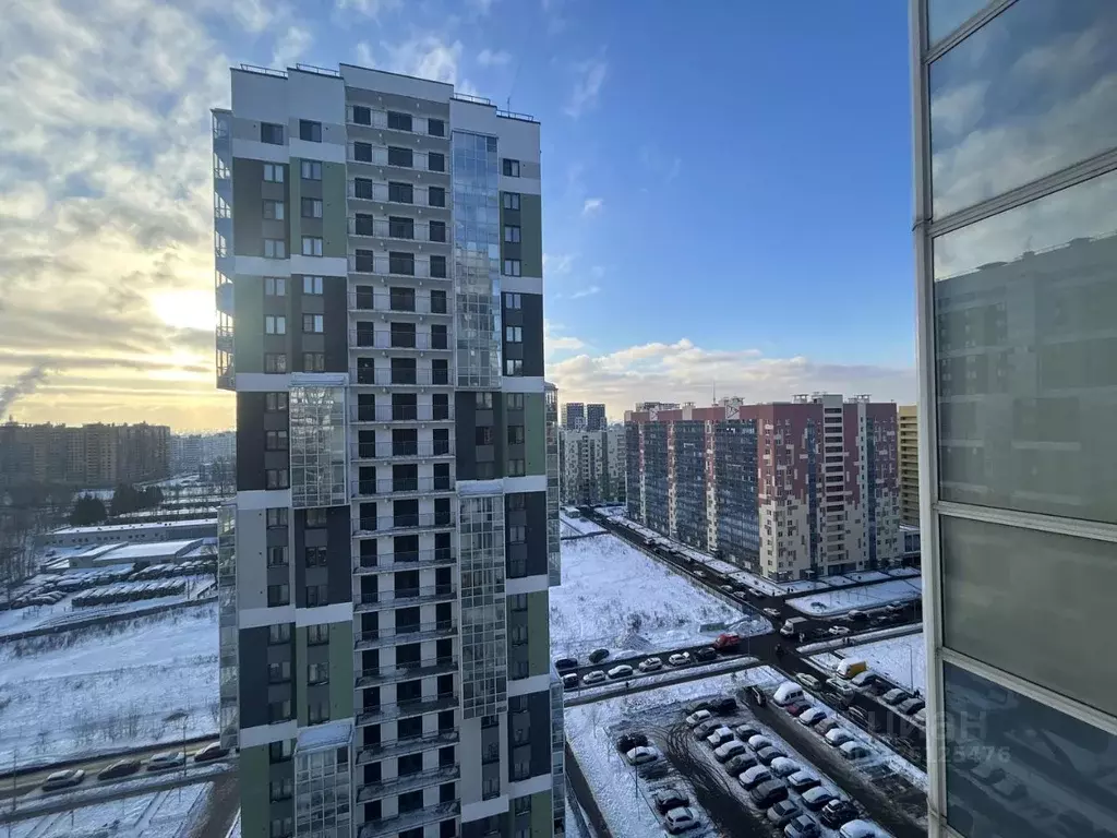 Студия Санкт-Петербург дор. Кушелевская, 3к11 (33.1 м) - Фото 2