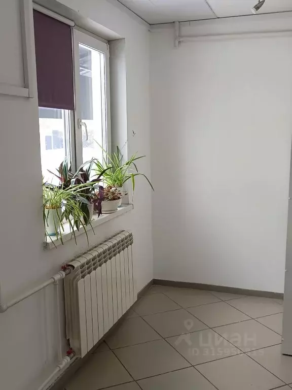 Помещение свободного назначения в Омская область, Омск пос. Амурский, ... - Фото 2