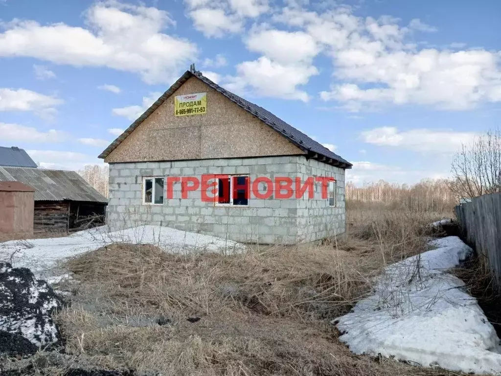 Дом в Новосибирская область, Мошковский район, с. Сокур ул. ... - Фото 0