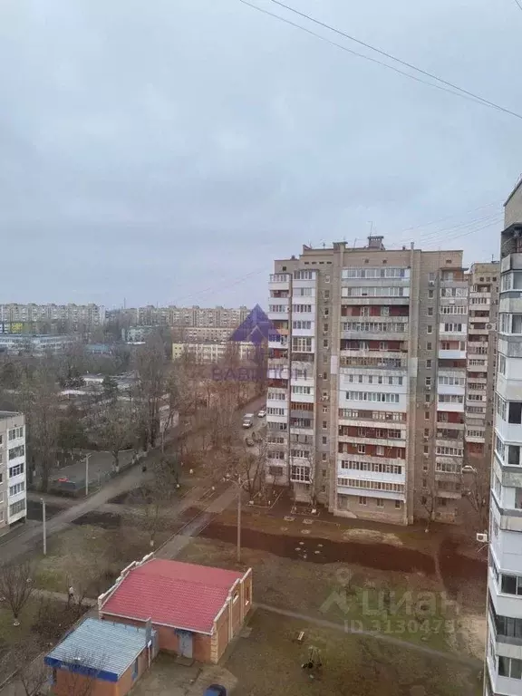 1-к кв. Ростовская область, Волгодонск ул. Ленина (34.9 м) - Фото 2