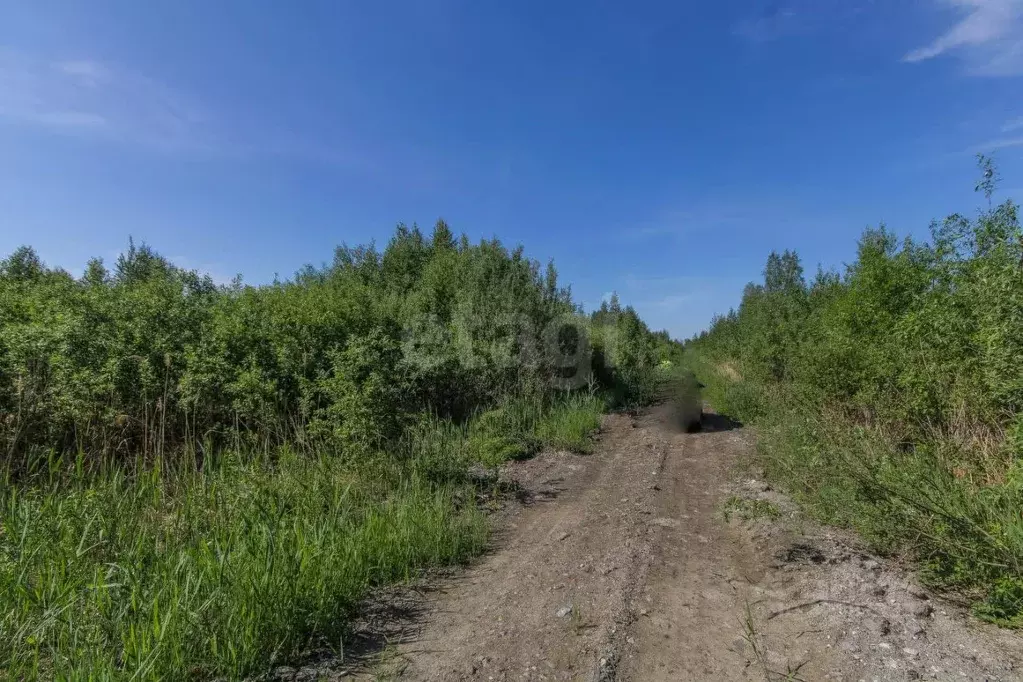 Участок в Тюменская область, Тюмень Большое Царево-1 СНТ,  (9.6 сот.) - Фото 0