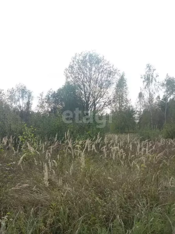 Участок в Калужская область, Калуга городской округ, д. Мстихино  ... - Фото 0