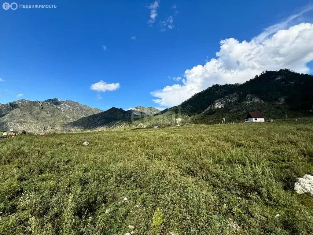 Участок в Чемальский район, село Еланда (9 м) - Фото 1