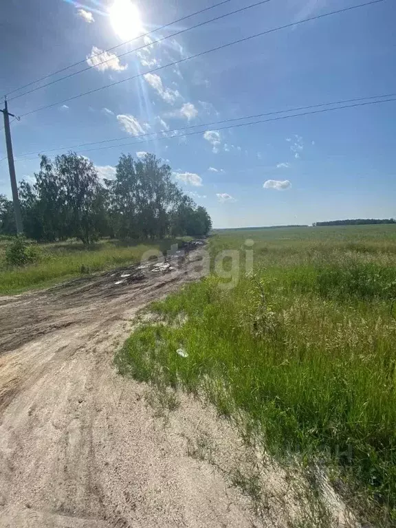 Участок в Челябинская область, Сосновский район, Солнечное с/пос, пос. ... - Фото 0