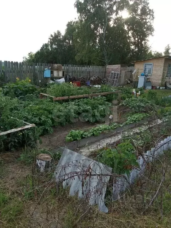 Участок в Свердловская область, Слободо-Туринское с/пос, д. Шадринка  ... - Фото 1