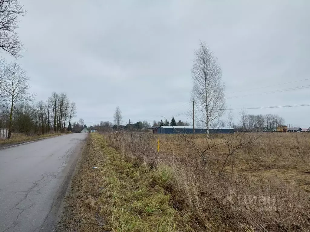 Участок в Псковская область, Псковский район, Логозовская волость, д. ... - Фото 1