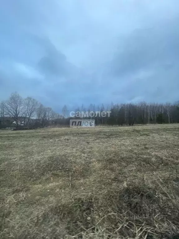 Участок в Калужская область, Перемышльский район, Большие Козлы с/пос, ... - Фото 0