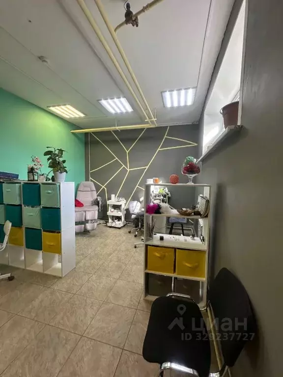 Помещение свободного назначения в Псковская область, Псков ул. ... - Фото 1