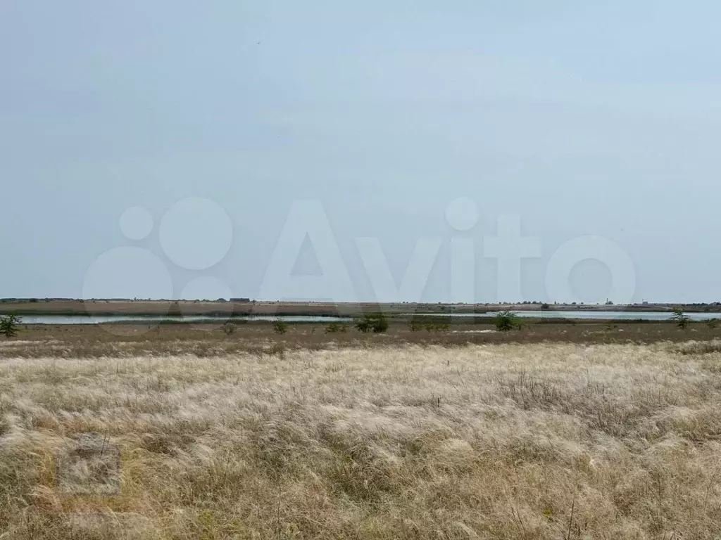 Участок 10 сот. (СНТ, ДНП) - Фото 0