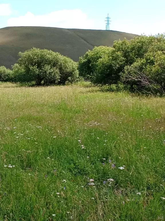Участок в Иркутская область, Боханский район, Новая Ида муниципальное ... - Фото 2