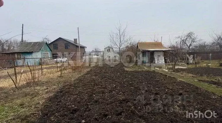 Участок в Брянская область, Брянск Родина садоводческое объединение,  ... - Фото 0