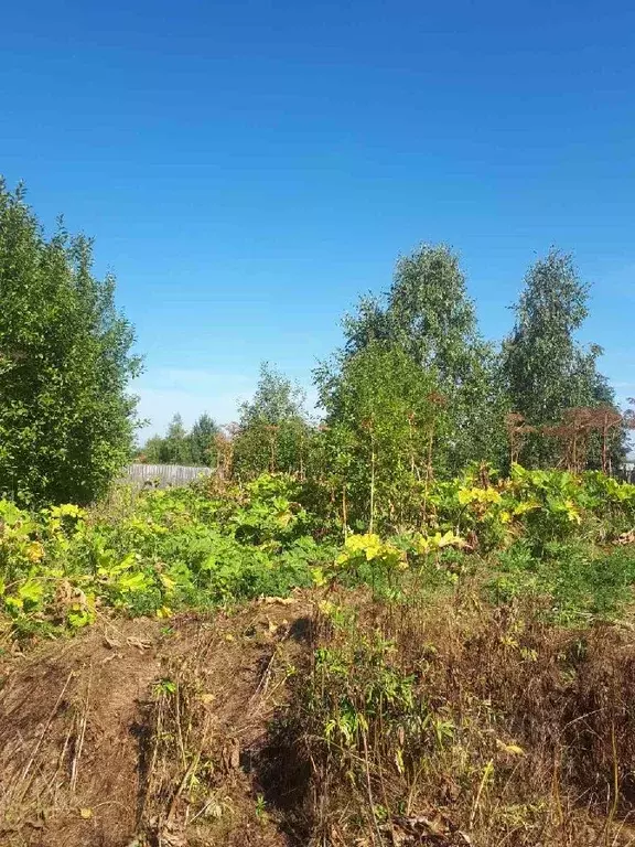 Участок в Пермский край, Краснокамский городской округ, д. Семичи  ... - Фото 0
