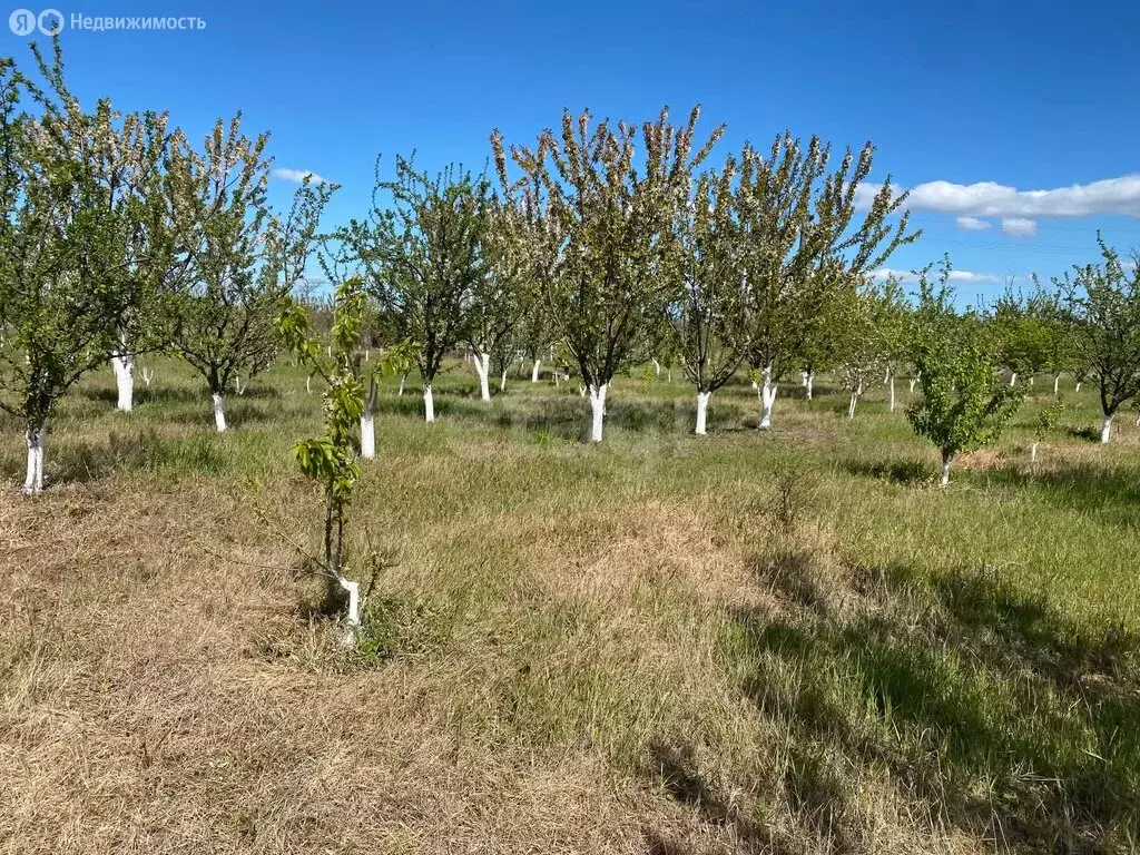 Участок в Краснодарский край, Анапа (18.47 м) - Фото 2