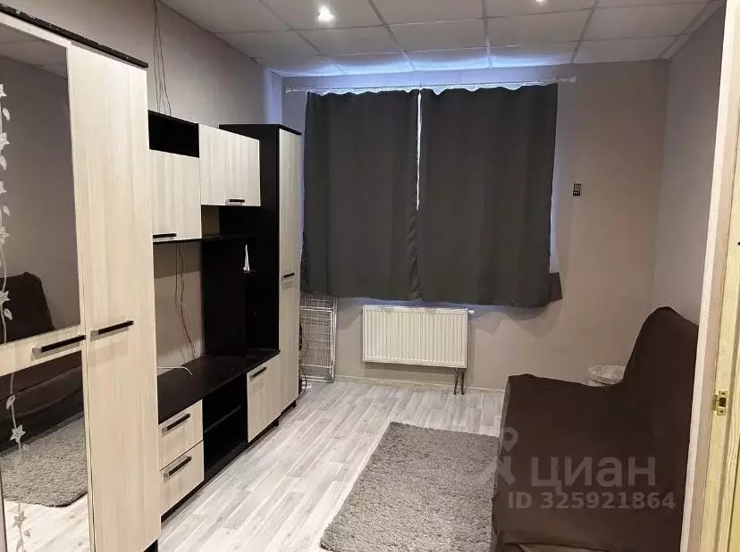 1-к кв. Московская область, Богородский городской округ, д. Щемилово ... - Фото 2