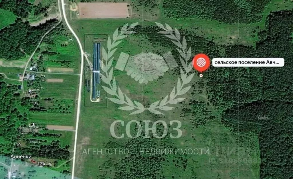 Участок в Калужская область, Ферзиковский район, Авчурино с/пос, д. ... - Фото 2