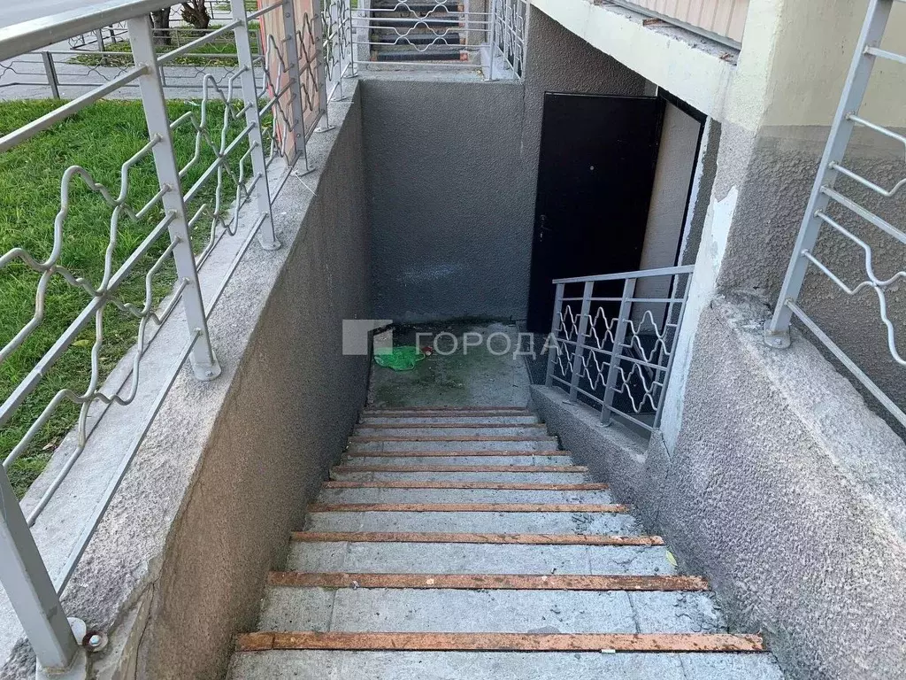 Помещение свободного назначения в Новосибирская область, Новосибирск ... - Фото 1