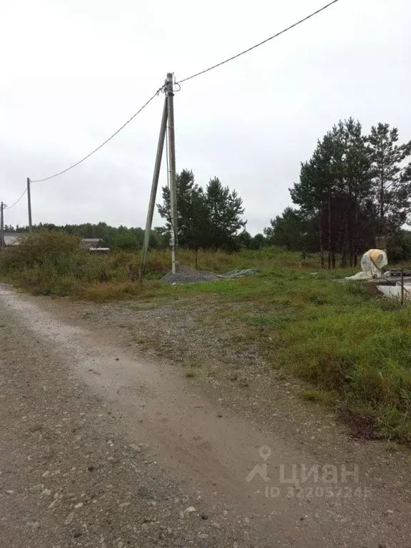 Участок в Свердловская область, Верхняя Пышма городской округ, с. ... - Фото 0