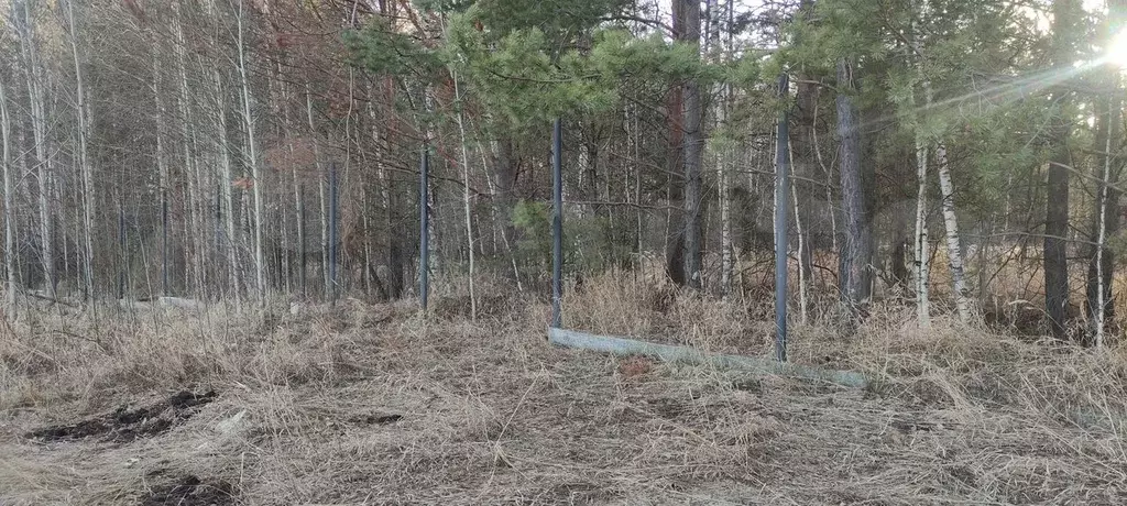 Участок 20 сот. (ИЖС) - Фото 0