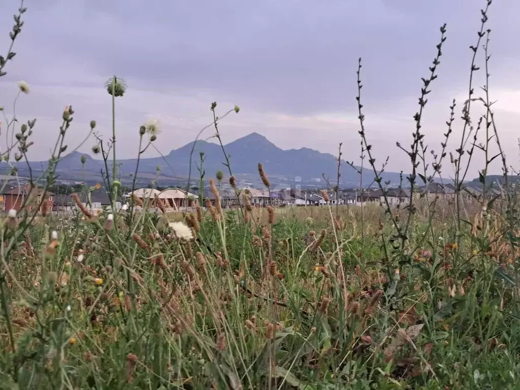 Участок в Ставропольский край, Предгорный муниципальный округ, ... - Фото 1