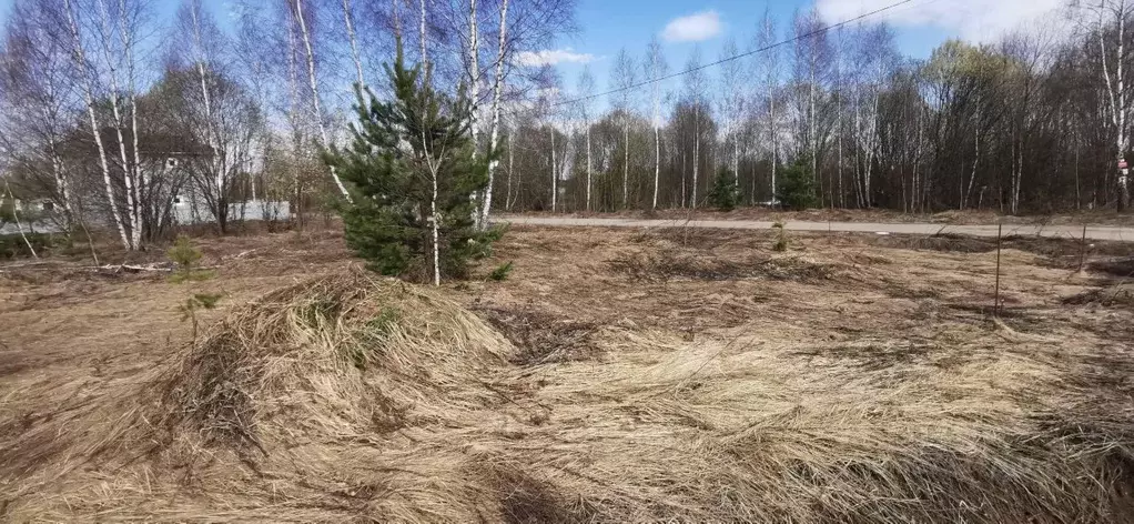 Участок в Московская область, Раменское Дергаево-3 кп,  (9.76 сот.) - Фото 2