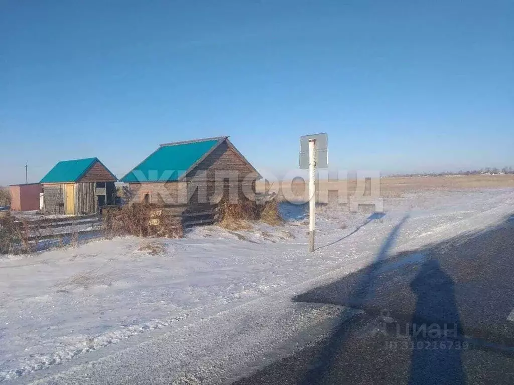 Участок в Алтайский край, Романовский район, с. Гуселетово Октябрьская ... - Фото 1