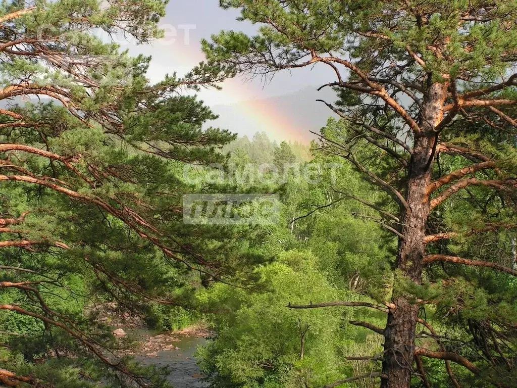 Участок в Забайкальский край, Читинский район, Атамановка пгт  (6.0 ... - Фото 1