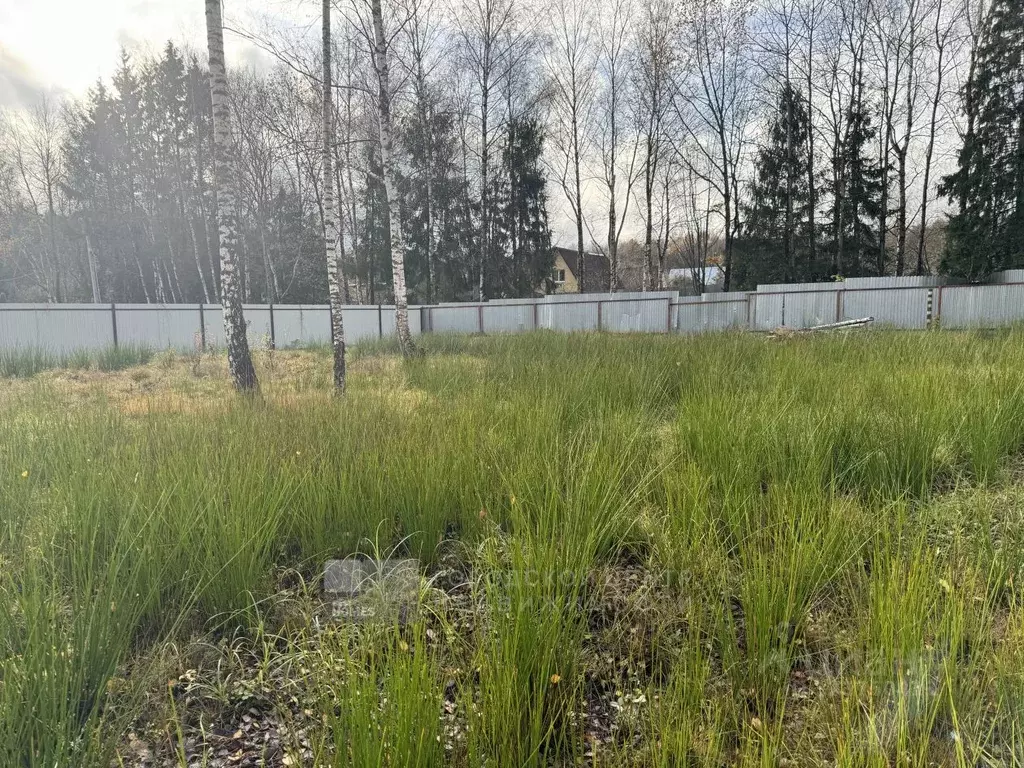 Участок в Москва Кристалл СНТ, 16 (7.5 сот.) - Фото 1