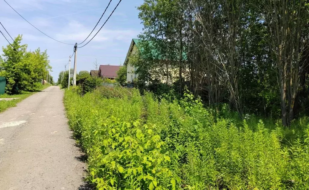 Участок в Московская область, Чехов муниципальный округ, пос. Васькино ... - Фото 1