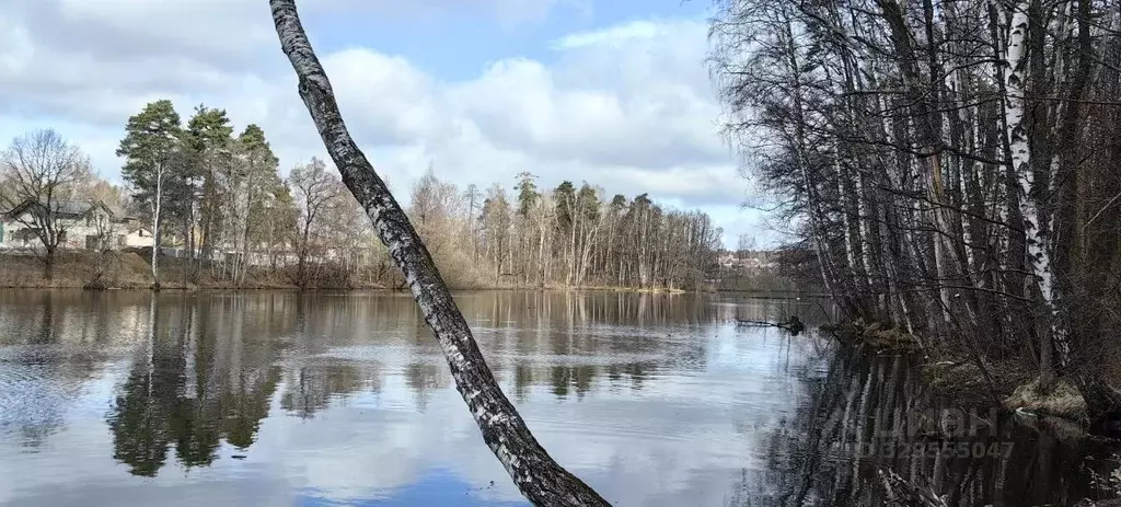 3-к кв. Московская область, Балашиха Кучино мкр, ул. Соловьева, 9 ... - Фото 1