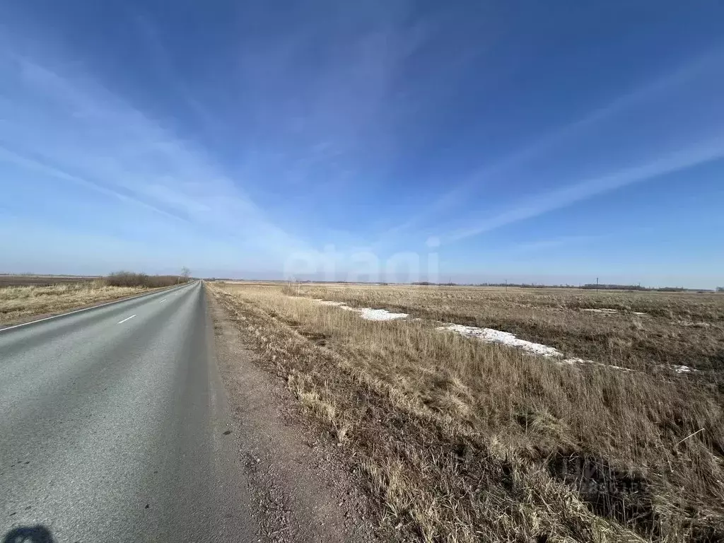 Участок в Курганская область, Белозерский муниципальный округ, с. ... - Фото 1