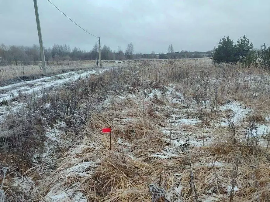 Участок в Московская область, Можайский муниципальный округ, д. ... - Фото 1