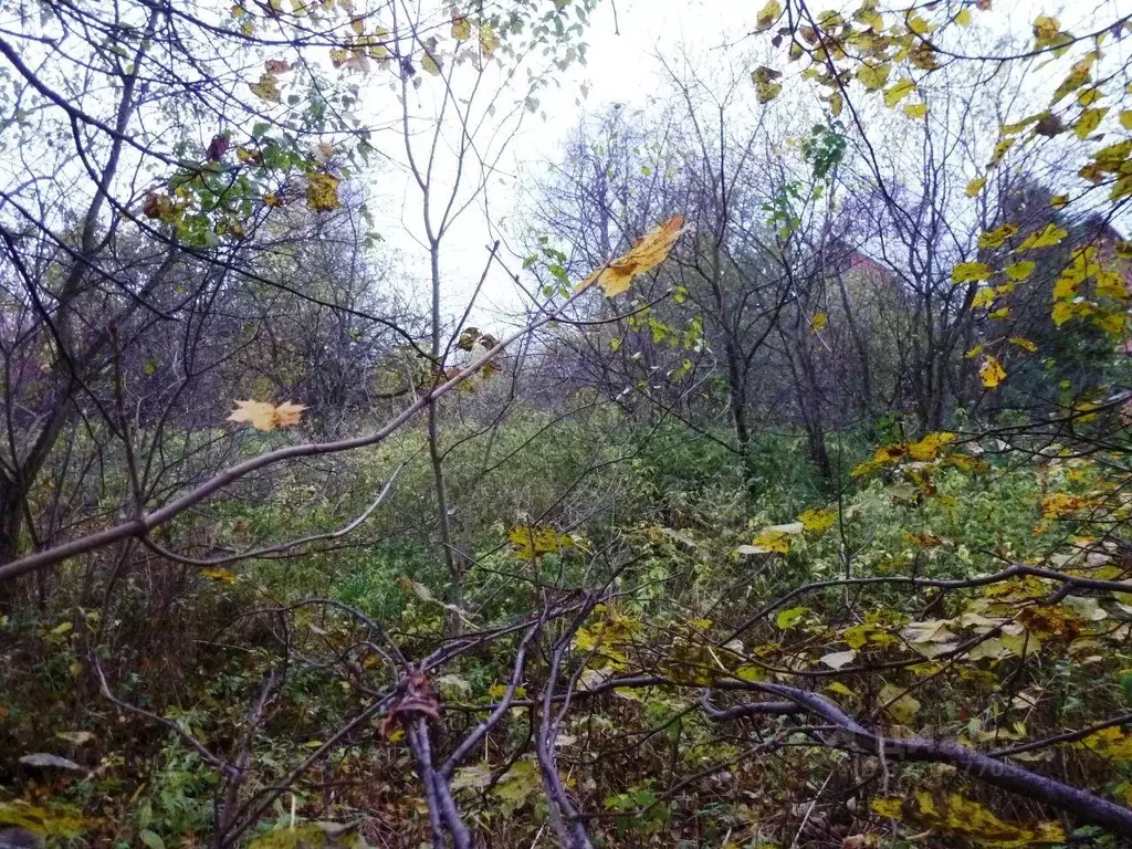 Участок, 15 сот., 0 - Фото 2