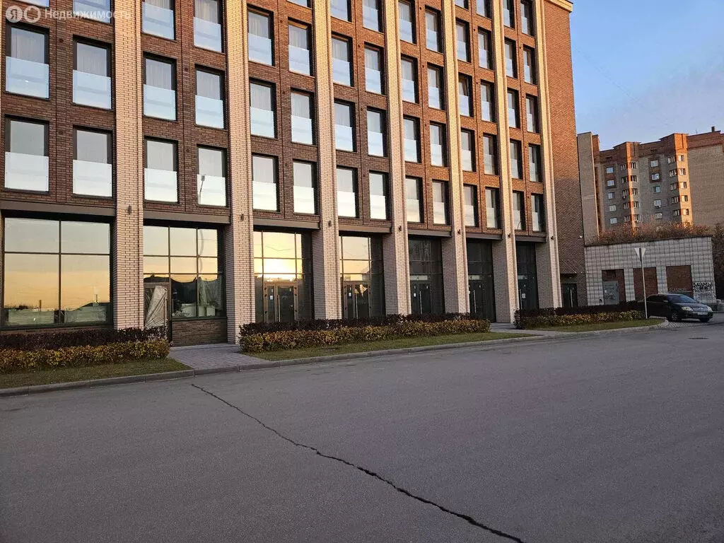 Офис (49.1 м) - Фото 2