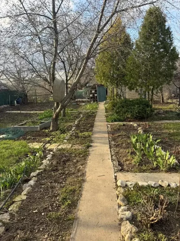 Дом в Волгоградская область, Волгоград Мичуринец СНТ,  (40 м) - Фото 2