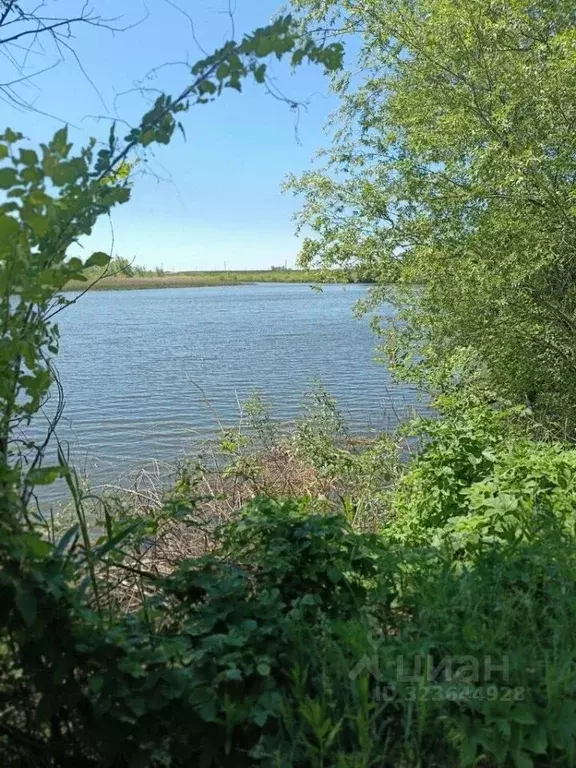 Дом в Саратовская область, Балаковский район, Быково-Отрогское ... - Фото 2