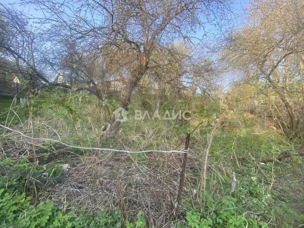 Участок 3,3 сот. (СНТ, ДНП) - Фото 1