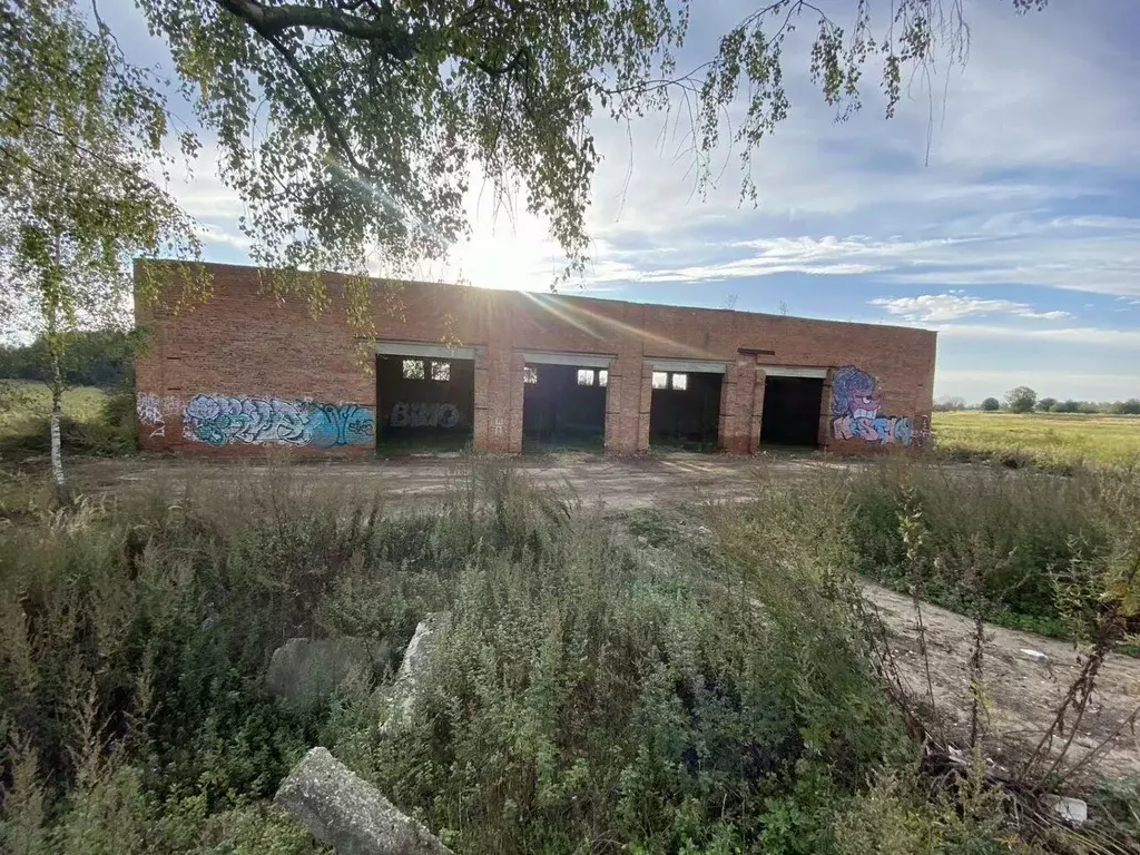 Участок в Московская область, Клин городской округ, д. Соголево  (5.0 ... - Фото 0