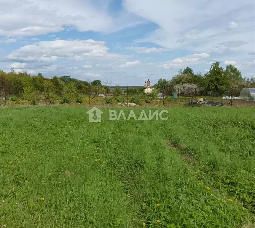 Участок в Владимирская область, Суздальский район, Павловское ... - Фото 1