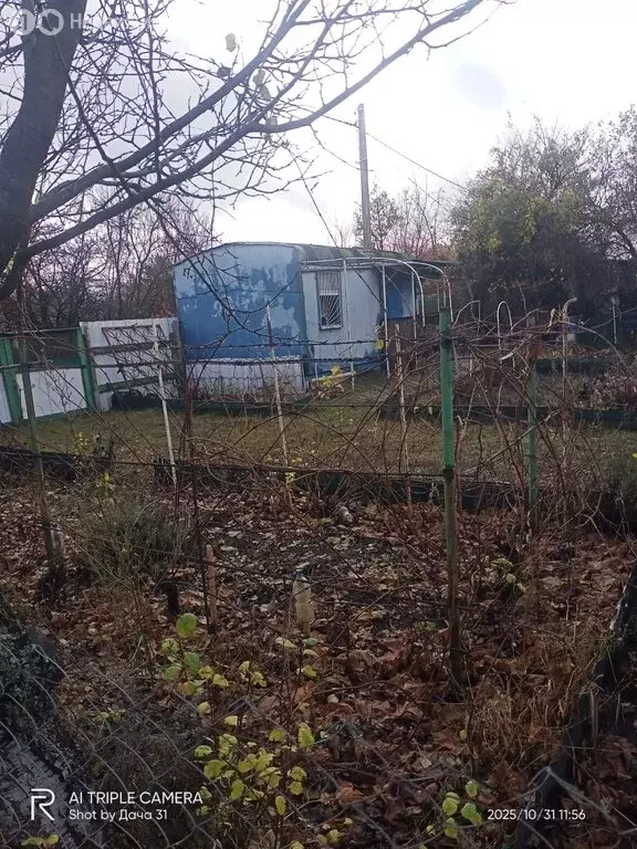 Участок в Белгородская область, Яковлевский муниципальный округ, СНТ ... - Фото 1